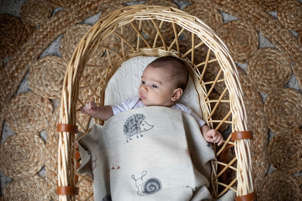 David Fussenegger Off White Snail & Hedgehog Juwel Bassinet Blanket has your favourite garden critters in a lovely and timeless cream fabric.