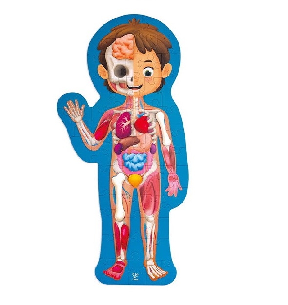 hape human body puzzle hape human body puzzle