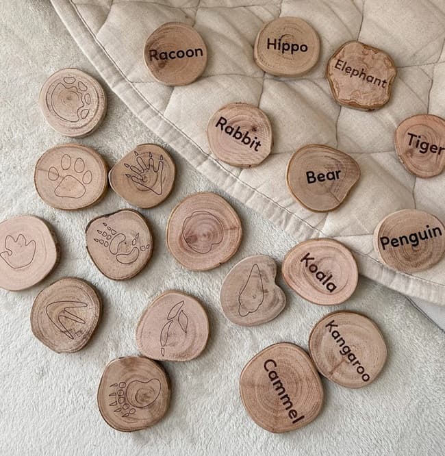 qtoys animal learning discs