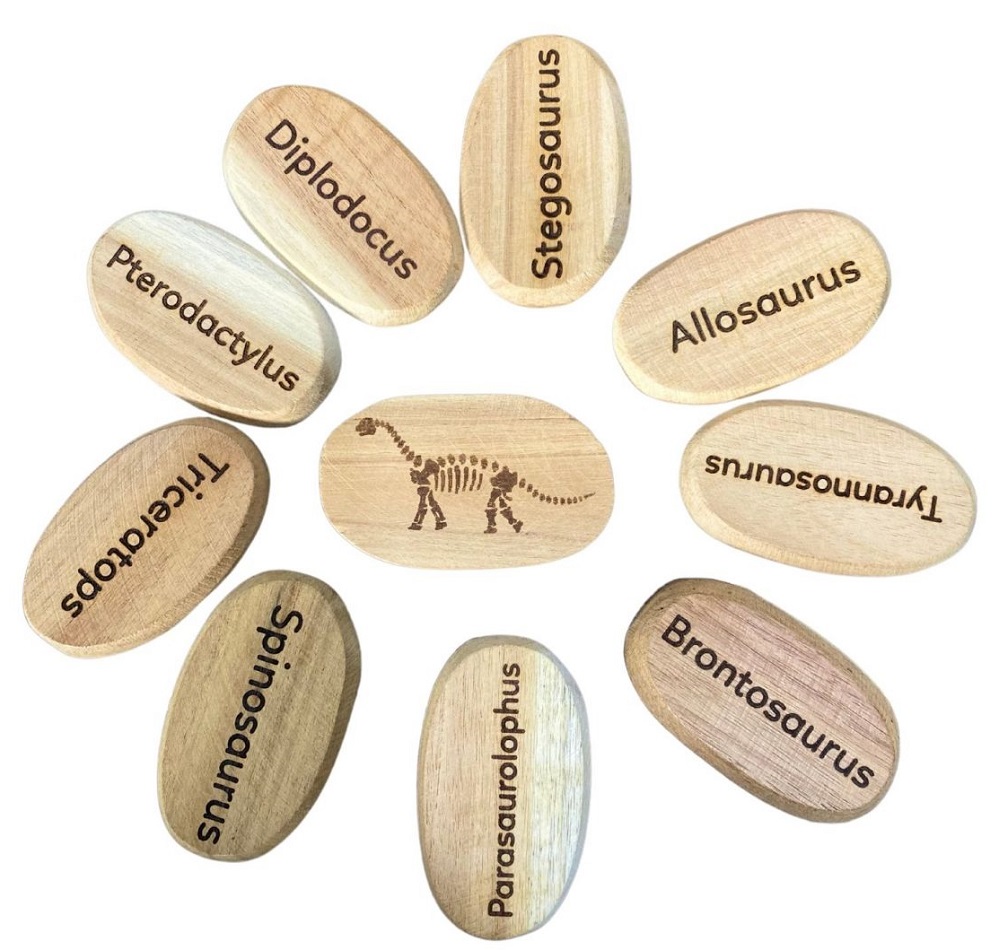 Qtoys Dinosaur Stones is a set of 10 stones that identify various dinosaurs.