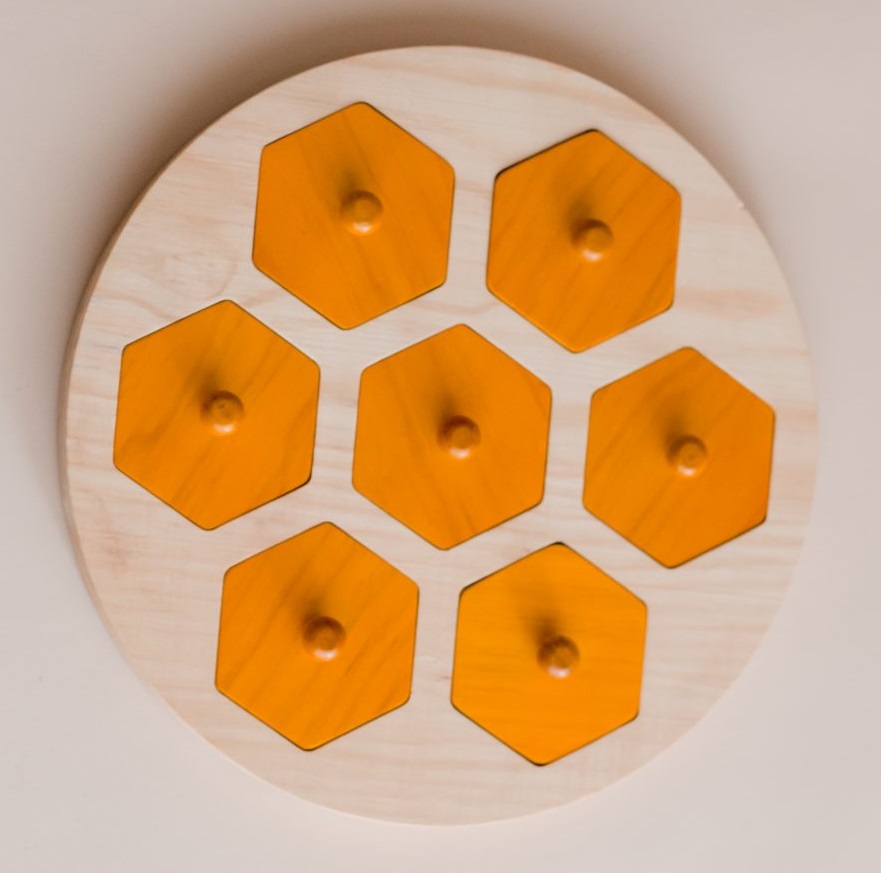 Qtoys Beehive Life Cycle puzzle