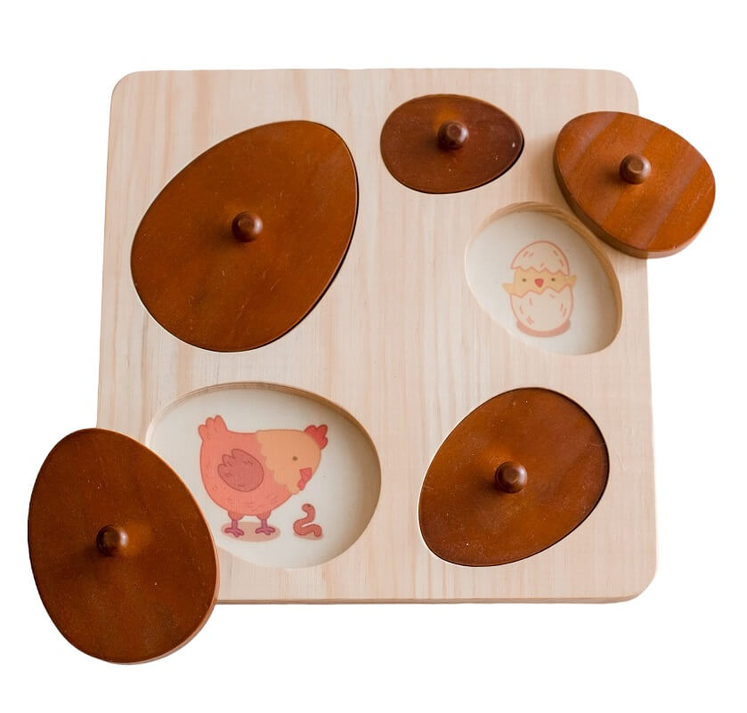 qtoys wooden hen life cycle puzzle qtoys wooden hen life cycle puzzle