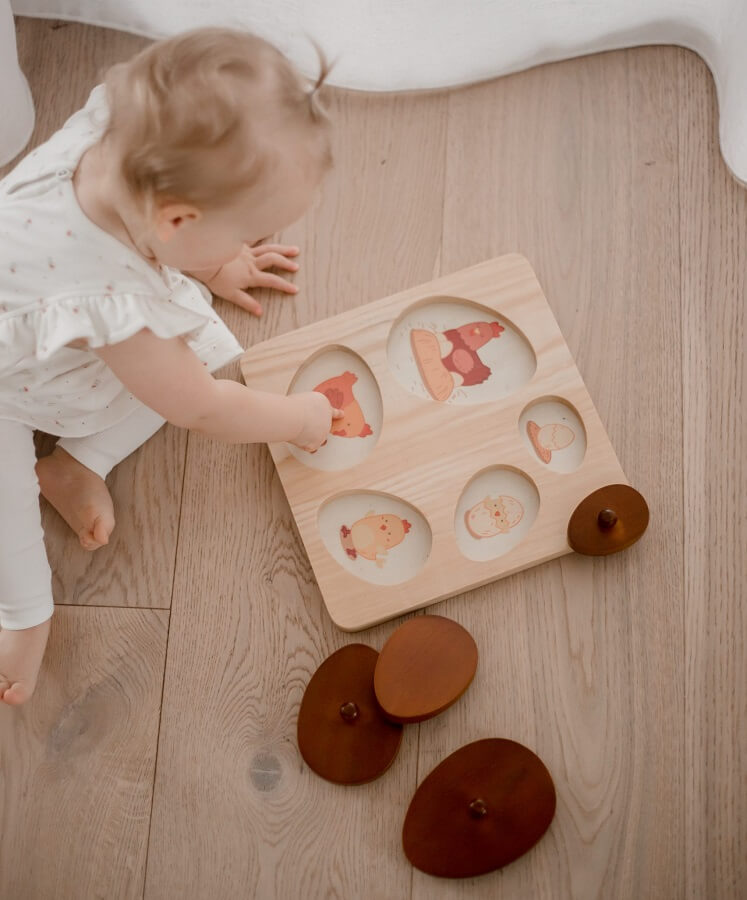 qtoys hen life cycle puzzle qtoys hen life cycle puzzle