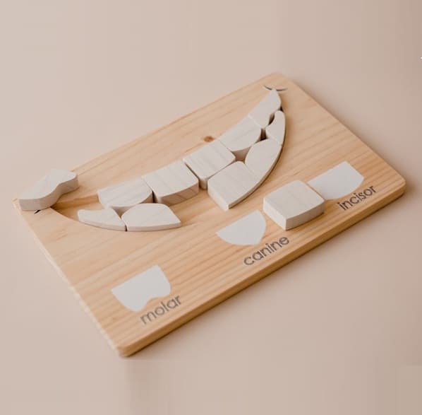wooden dental puzzle