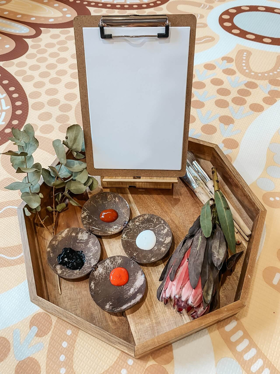 Qtoys Coconut Painting Palette First Nations display