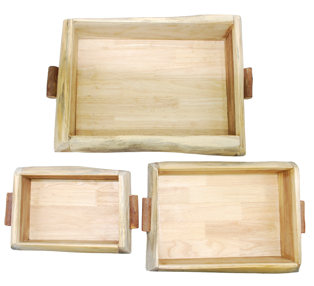 Qtoys Tree sorting trays set of 3