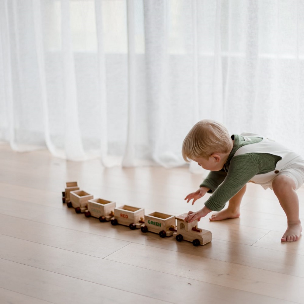 Qtoys Sorting Train & Containers 3