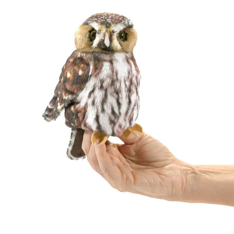 Folkmanis Pygmy Owl Puppet perches perfectly on the hand