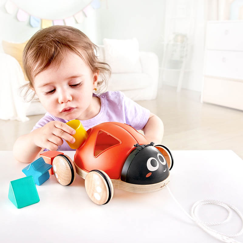 Hape Shape Sorter Ladybug on Sale Fast Australia Shipping