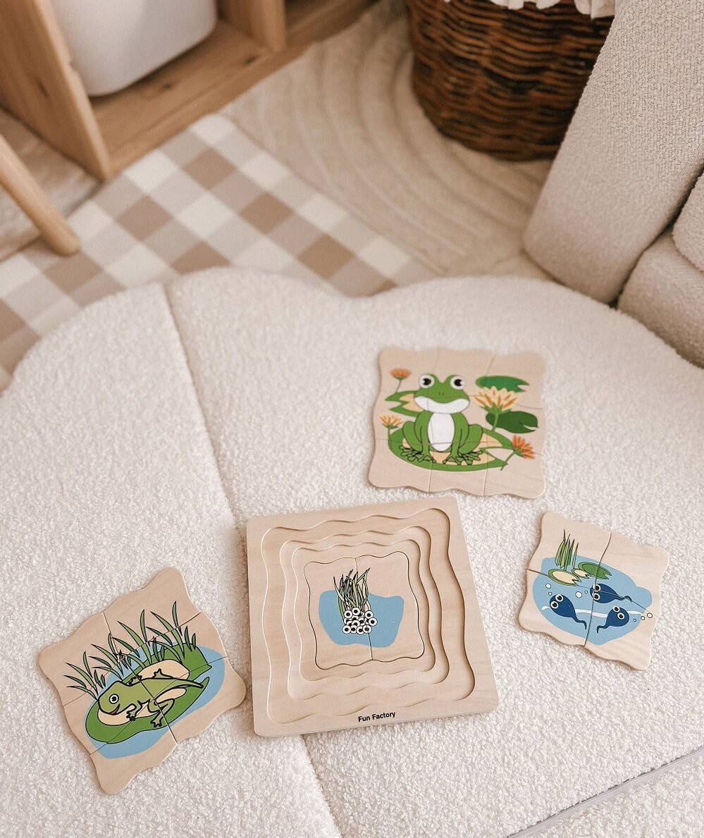 Fun Factory 4 Layer Frog Lifecycle Puzzle
