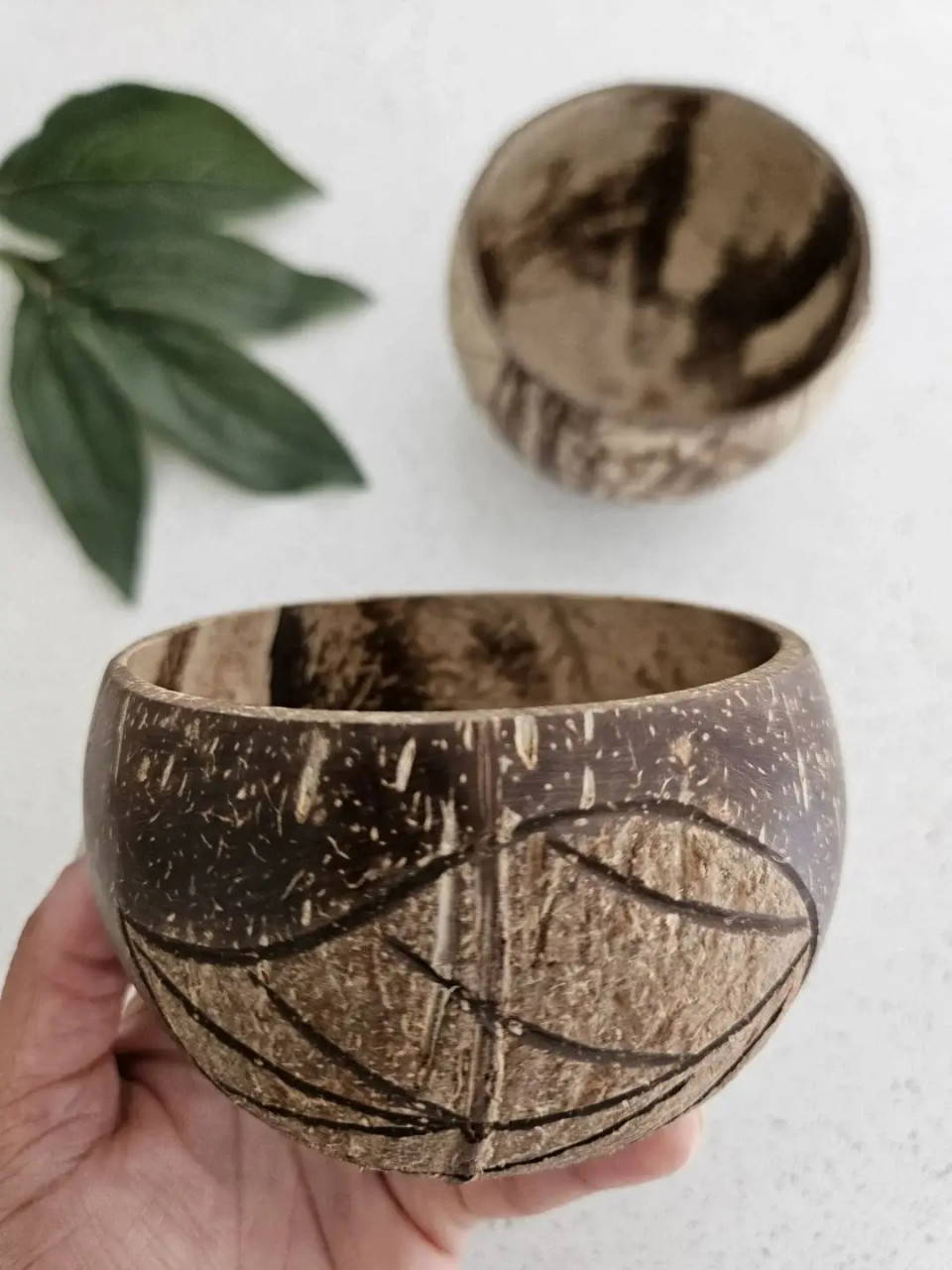 Qtoys Leaf Patterned Coconut Bowl 1