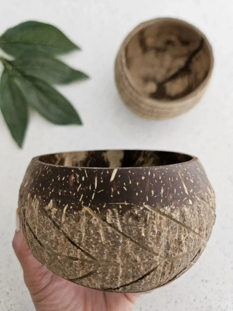 qtoys fish bone pattern coconut bowl 1
