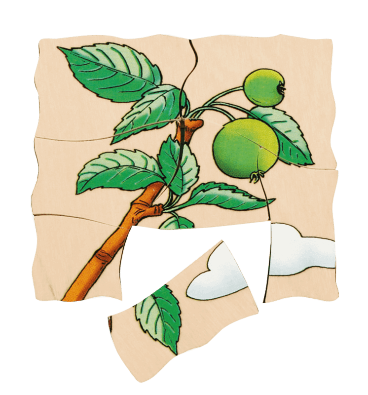 Beleduc Multilayer Puzzle - Apple 3