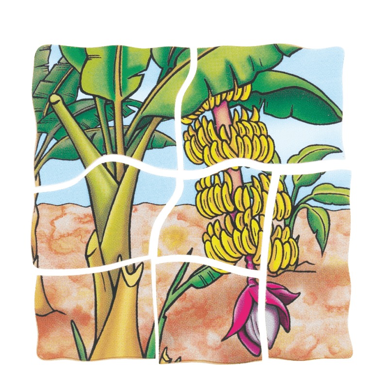 Beleduc Multilayer Puzzle - Banana 3