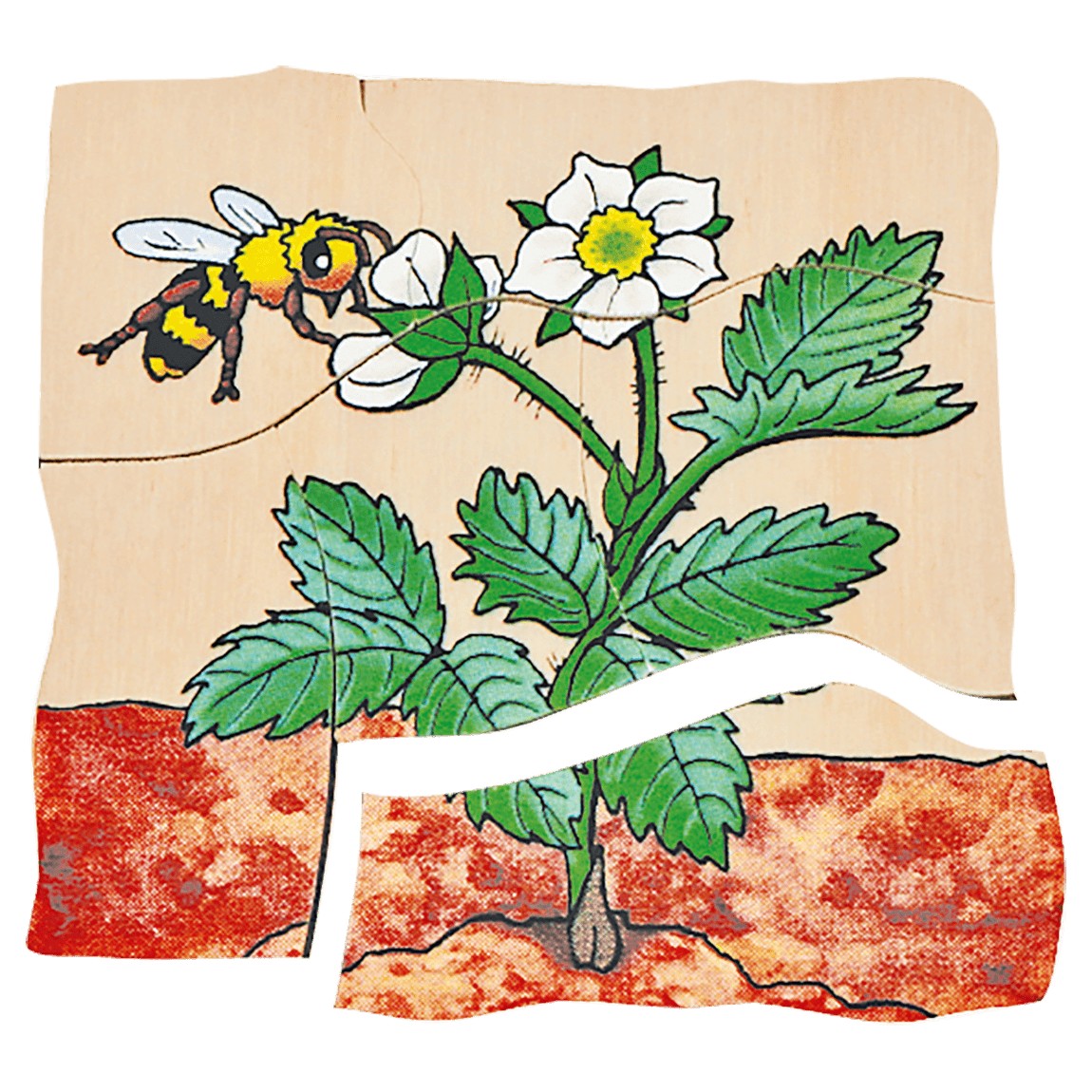 Beleduc Multilayer Puzzles - Strawberry - image 6