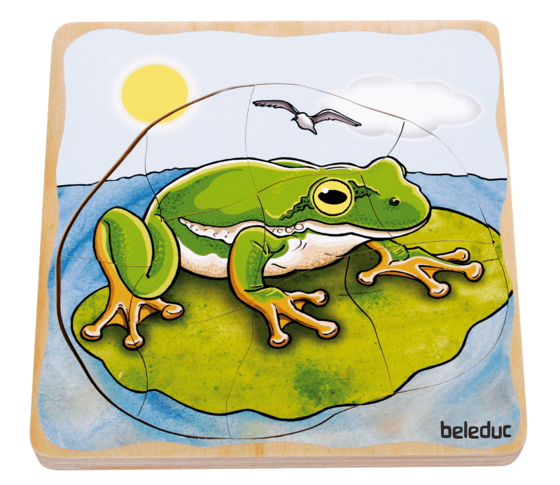 Multilayer Puzzle - Life Courses - Frog