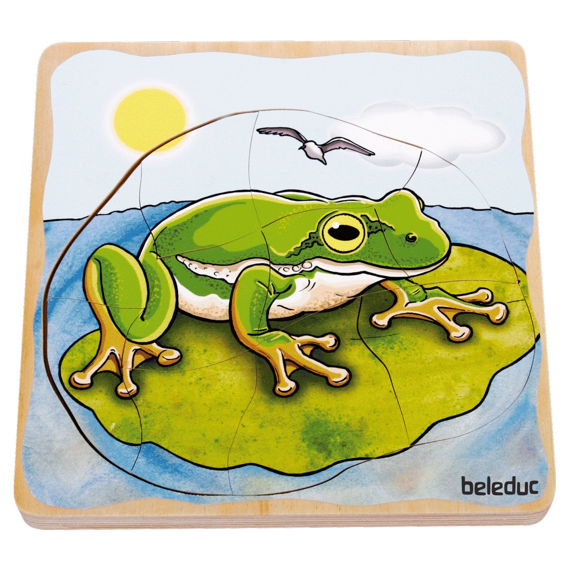 Beleduc Multilayer Puzzle - Life Courses - Frog - image 6