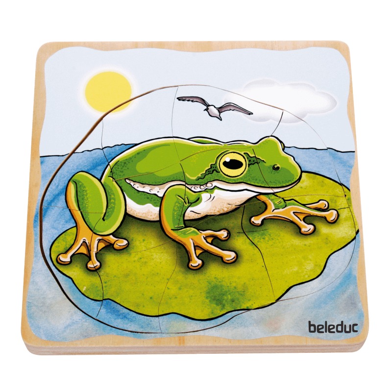 Multilayer Puzzle - Life Courses - Frog