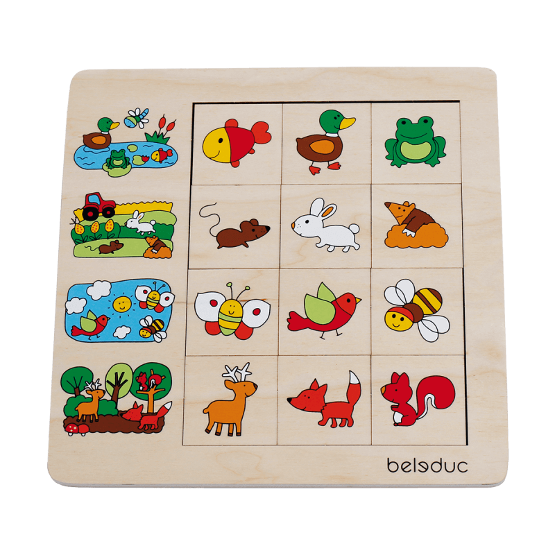 Beleduc Sorting Game Puzzle - Environment 2 Beleduc Sorting Game Puzzle - Environment 2