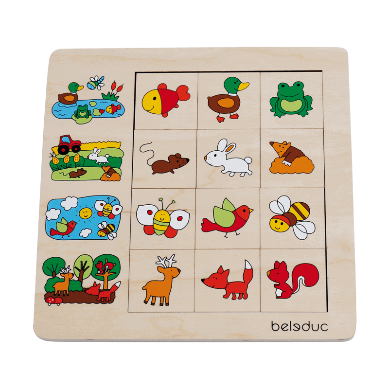 Beleduc Sorting Game Puzzle - Environment 2