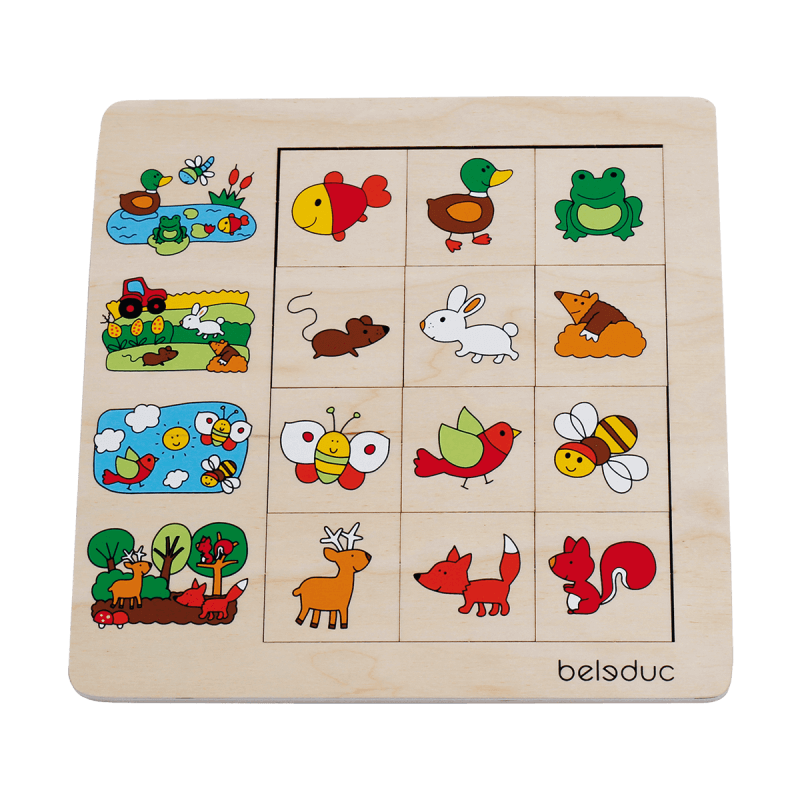 Beleduc Sorting Game Puzzle - Environment 2