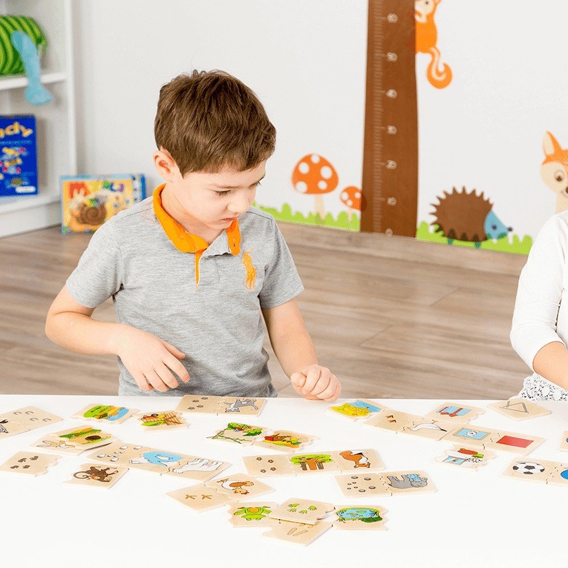 Beleduc Cognito Matching Puzzles - Shapes - image 6