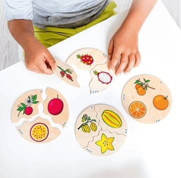 fruit matching puzzle set