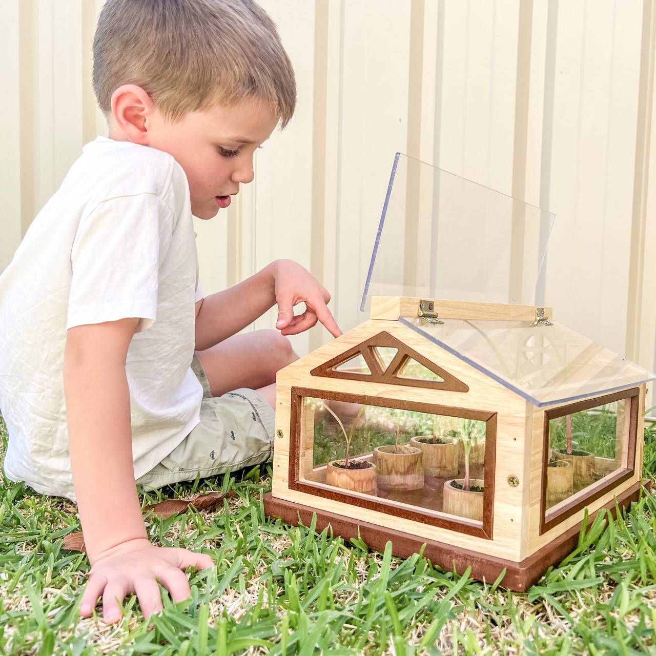 growing plants in Mini Kids Greenhouse