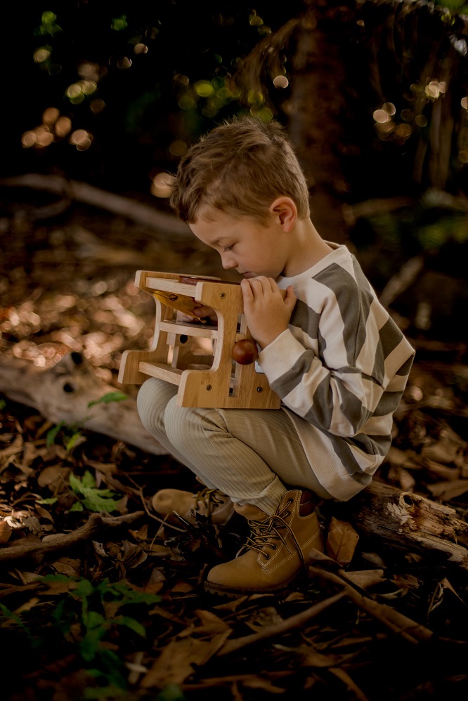 Qtoys Wooden Microscope