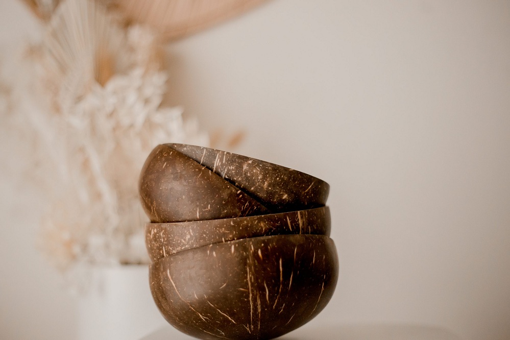 Coconut Bowl Set of 3 Coconut Bowl Set of 3