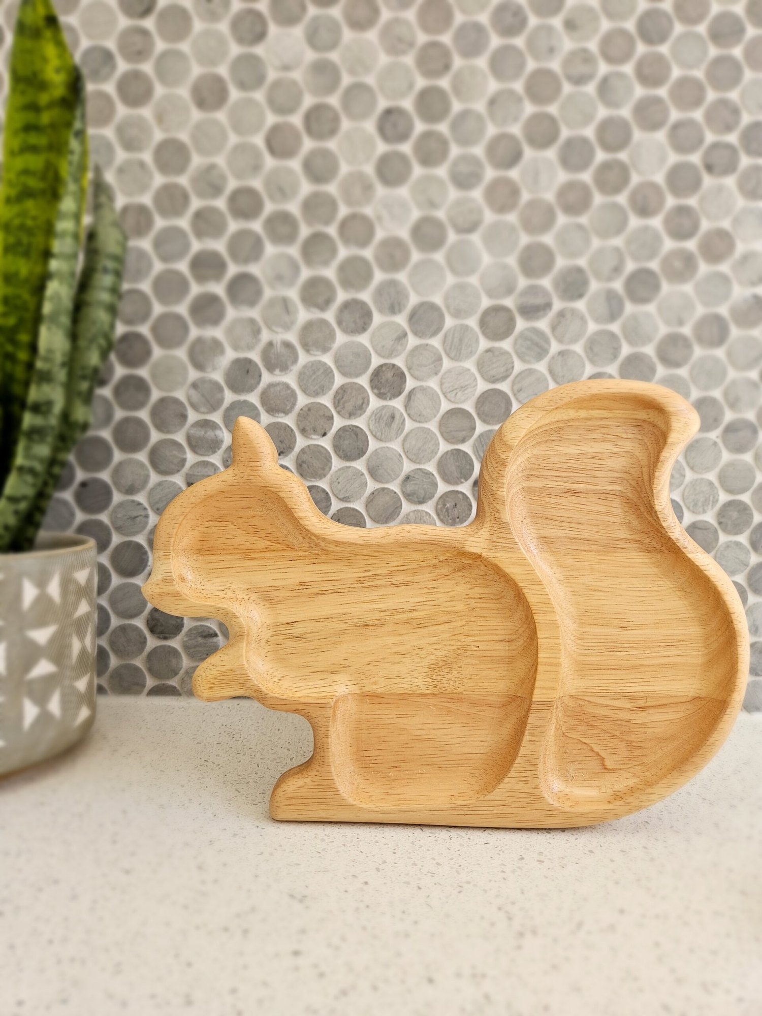 Qtoys Squirrel Tray - image 2