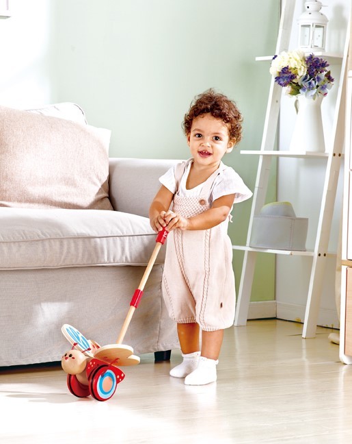 Hape Butterfly Push Toy 2 Hape Butterfly Push Toy 2