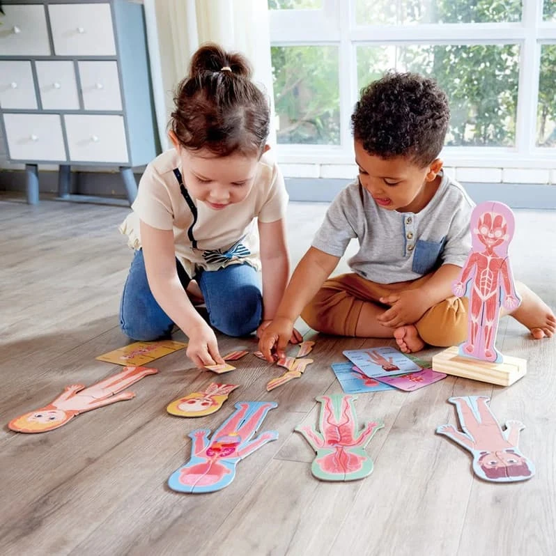 hape human body layers puzzle