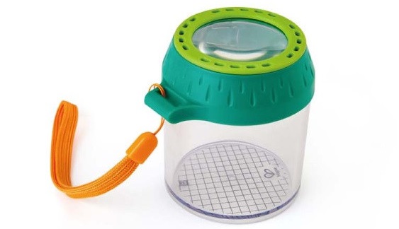 Hape Obeservation Habitat Hape Obeservation Habitat