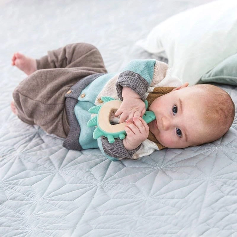 Hape Teether Hedgehog 3