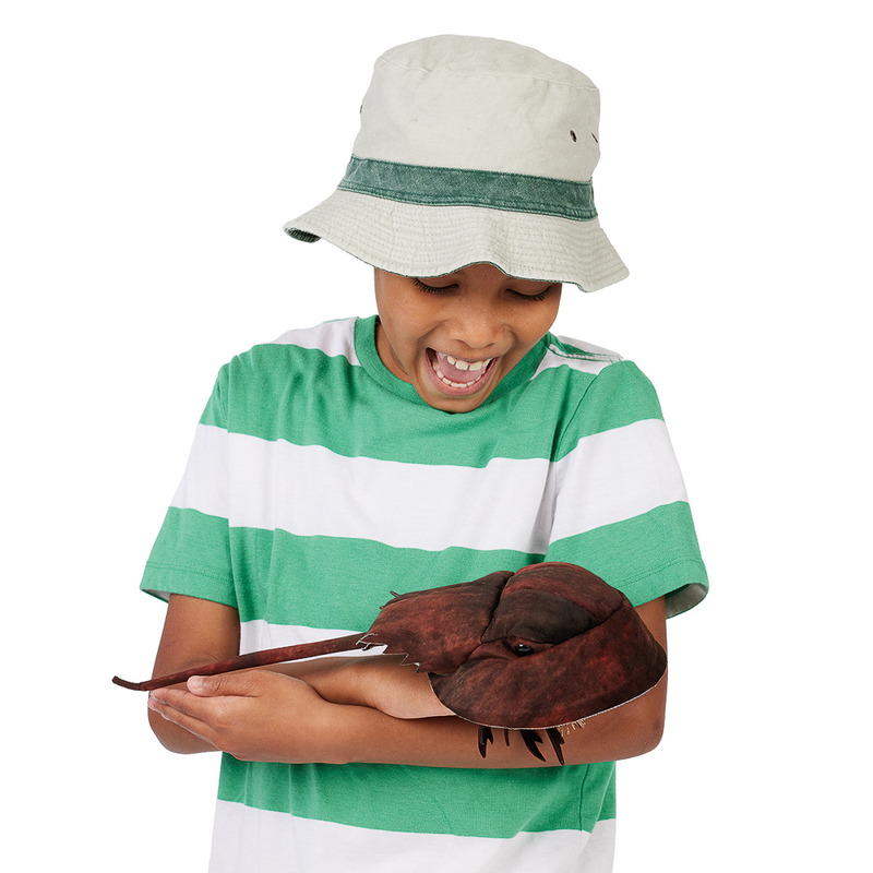 Folkmanis Horseshoe Crab Puppet 1 Folkmanis Horseshoe Crab Puppet 1