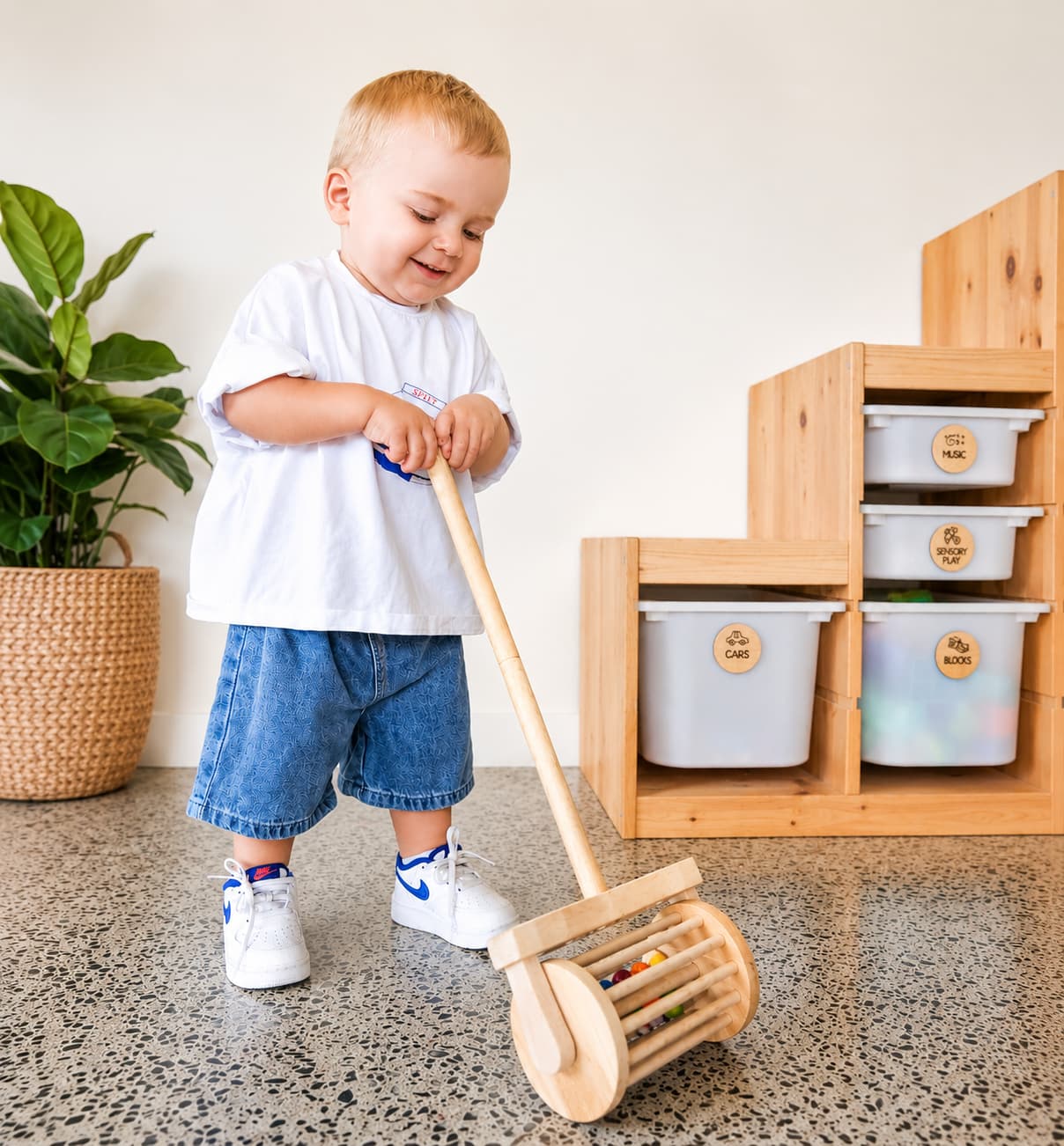wooden push ball toy