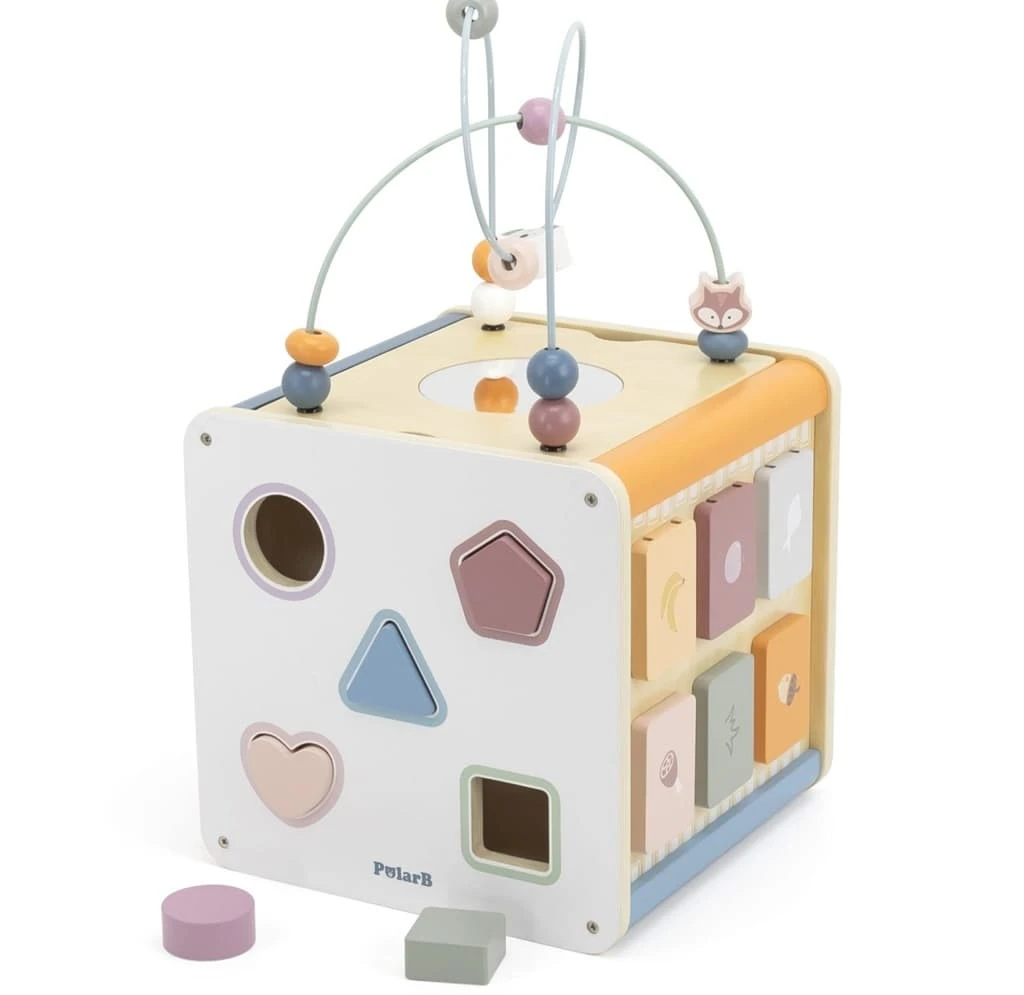 polarb activity cube