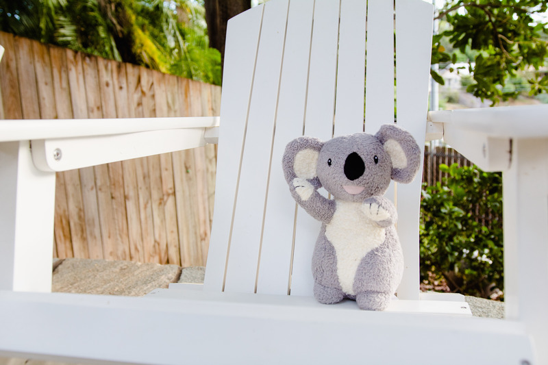 Tikiri Organic Koala Plush 1 Tikiri Organic Koala Plush 1