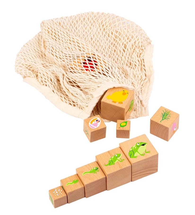 Educo Life cycle blocks