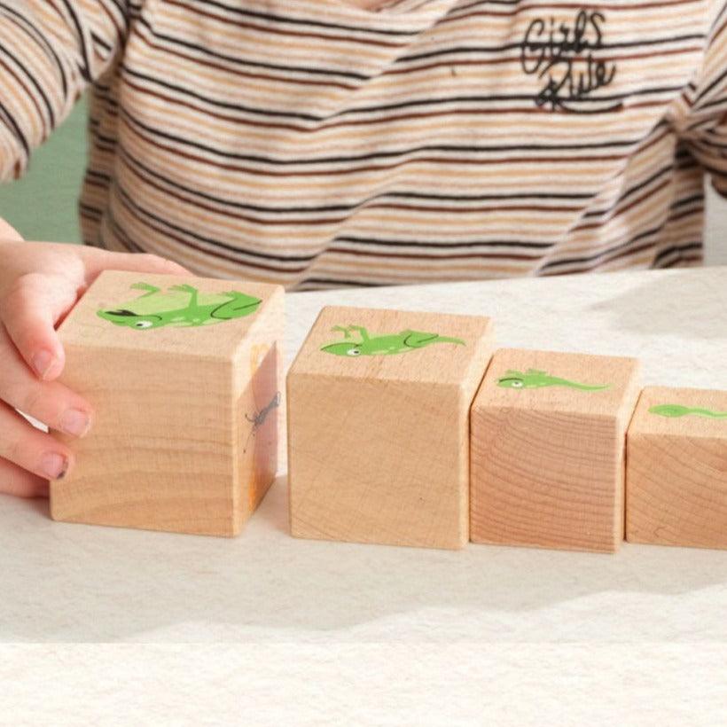 Educo Life cycle blocks 1