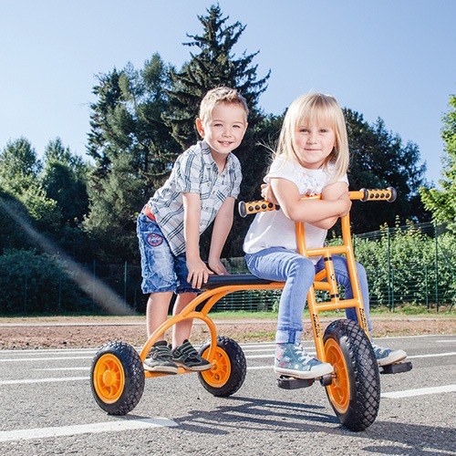 Top Trike Rookie - image 6