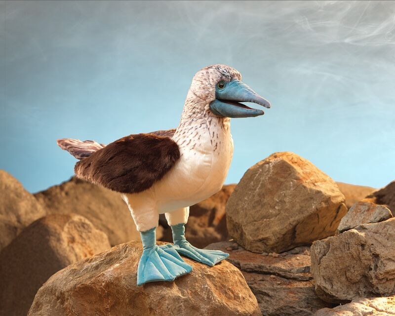 Folkmanis Blue Footed Booby Puppet - image 2