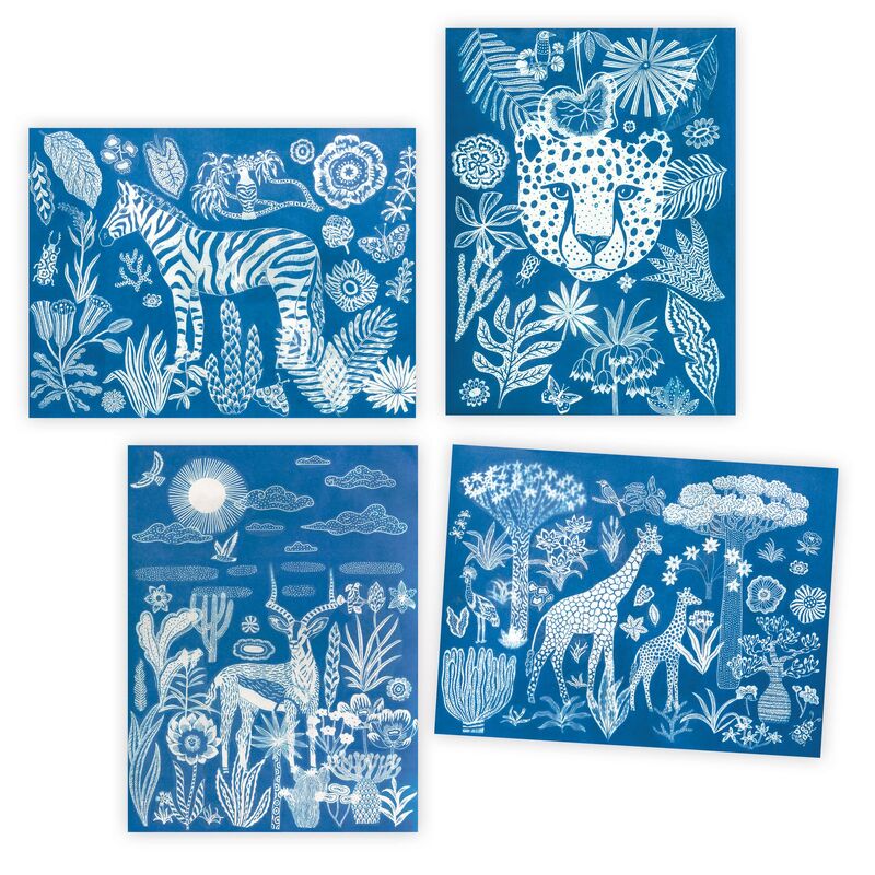 Djeco Night Time in the Savannah Cyanotype kit Djeco Night Time in the Savannah Cyanotype kit