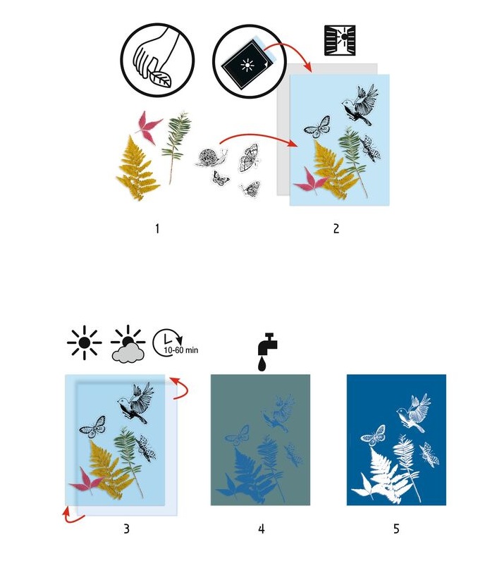 Djeco Cyanotype Starter Kit Djeco Cyanotype Starter Kit