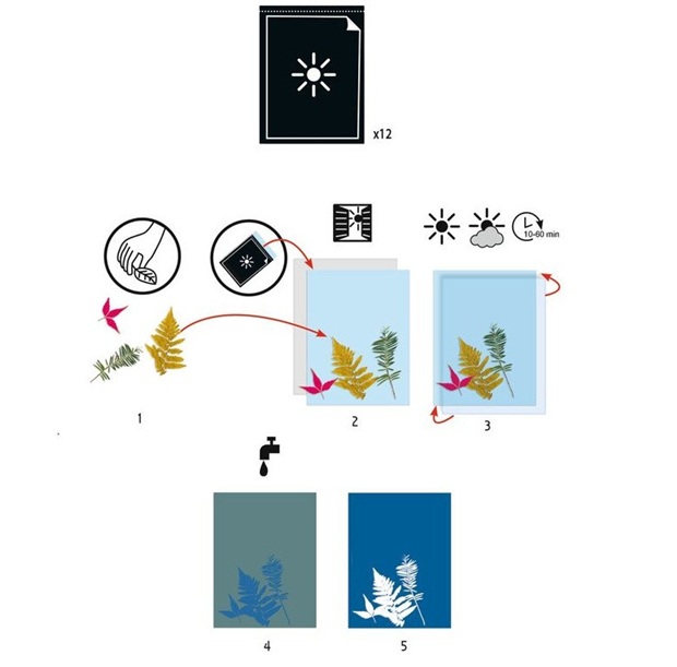 Djeco Cyanotype Paper Djeco Cyanotype Paper