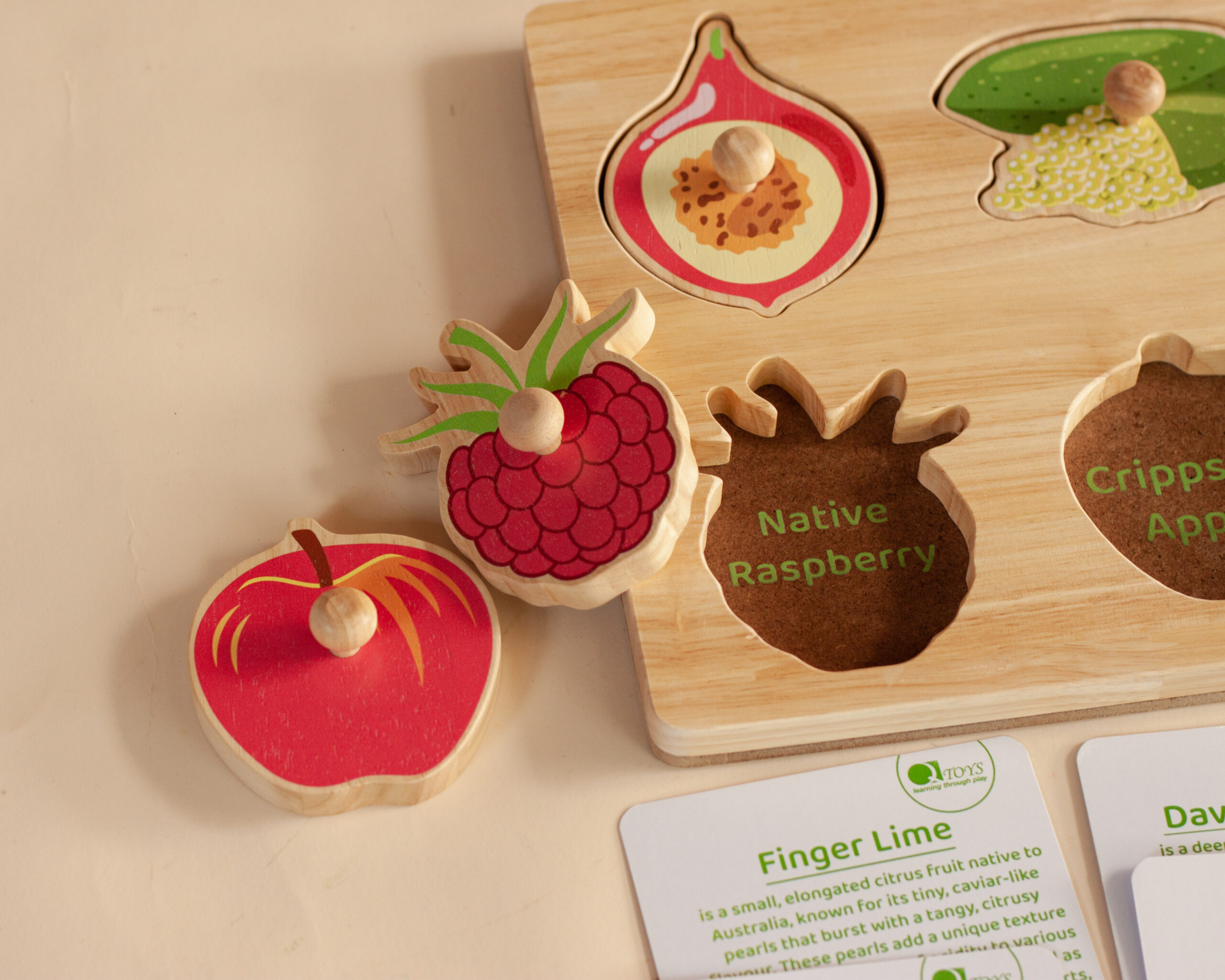 Qtoys Australian Native Fruit Puzzle 1 Qtoys Australian Native Fruit Puzzle 1