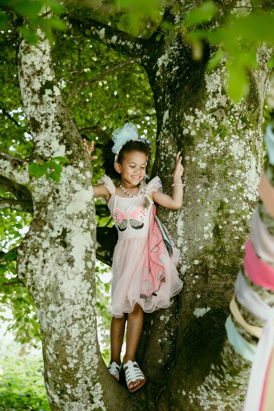 Great Pretenders Sequins Secret Butterfly Twirl Dress with Wings Kids Costume 1