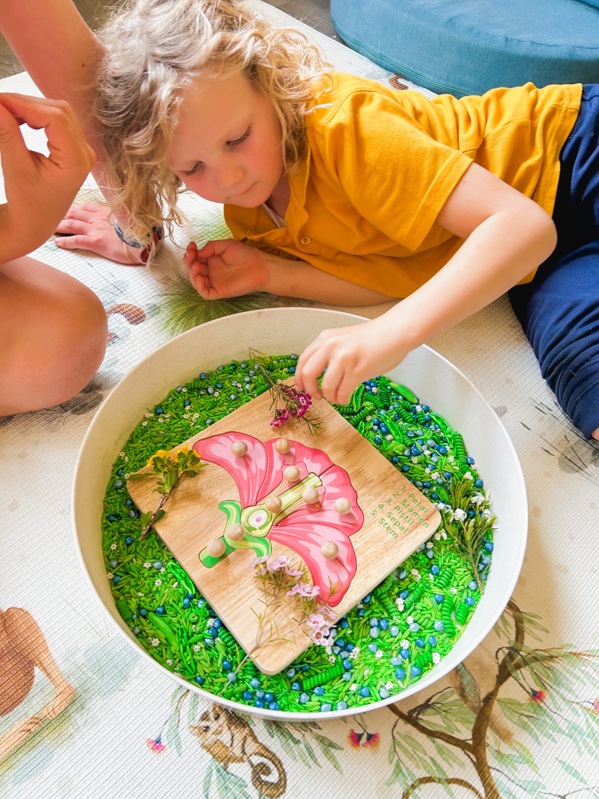 Qtoys Montessori Parts of a Flower Puzzle 1