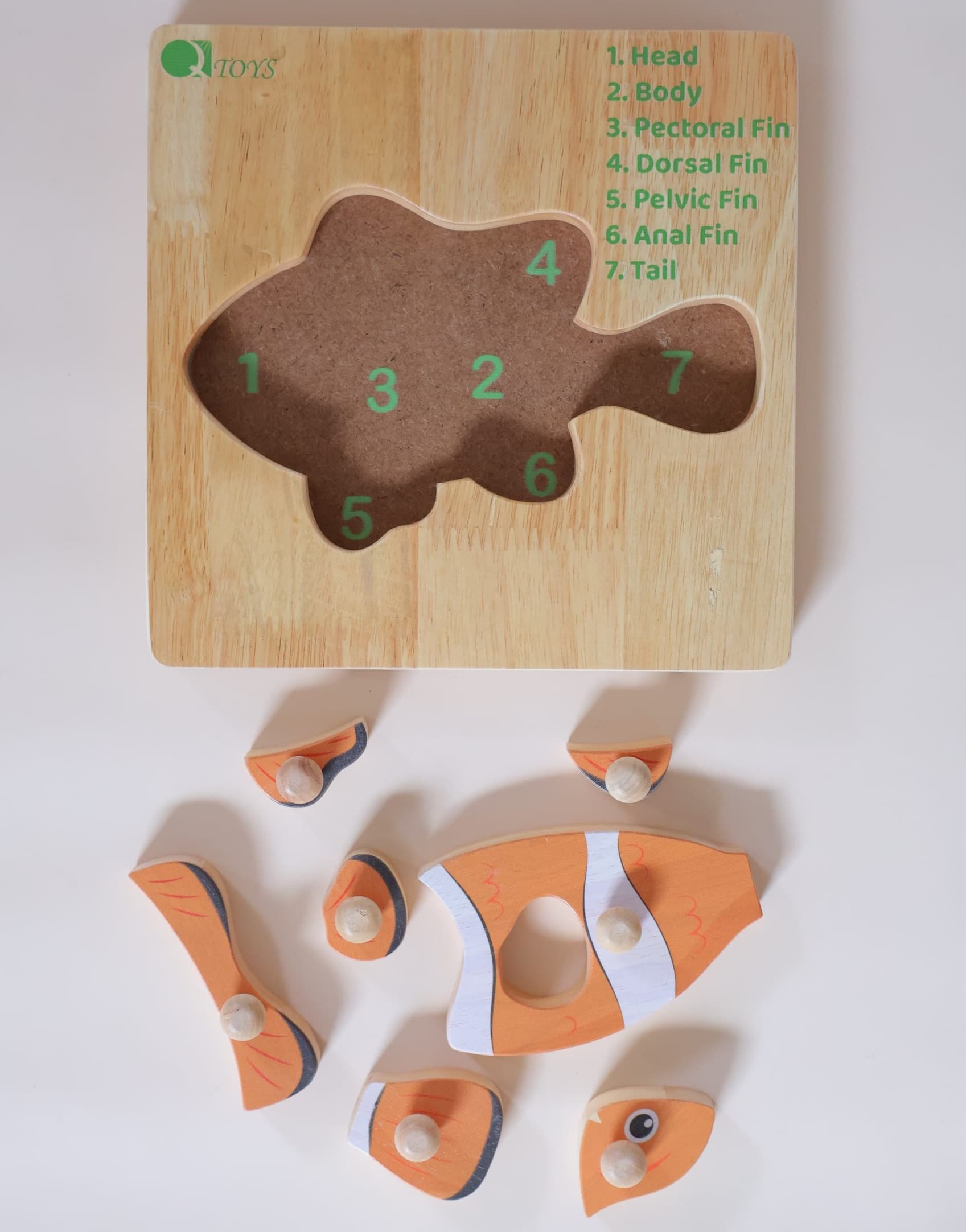 Qtoys Montessori Fish Puzzle 1 Qtoys Montessori Fish Puzzle 1